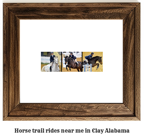 horse trail rides near me in Clay, Alabama